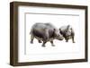 Palaeotherium-null-Framed Photographic Print