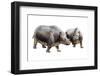 Palaeotherium-null-Framed Photographic Print