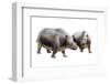 Palaeotherium-null-Framed Photographic Print