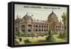 Palais De Beaux-Arts-null-Framed Stretched Canvas