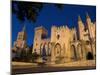 Palais Des Papes, Avignon, Provence, France-Doug Pearson-Mounted Photographic Print