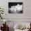 Palais Du Prince in Monaco-null-Photographic Print displayed on a wall