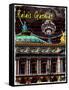 Palais Garnier Paris, Opera House 3-Victoria Hues-Framed Stretched Canvas
