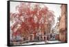 Palais Rohan - Strasbourg-Philippe Sainte-Laudy-Framed Stretched Canvas