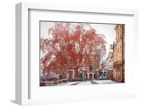 Palais Rohan - Strasbourg-Philippe Sainte-Laudy-Framed Photographic Print