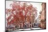 Palais Rohan - Strasbourg-Philippe Sainte-Laudy-Mounted Photographic Print