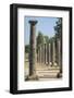 Palaistra, Ancient Greek ruins, Olympia, Greece-Lisa S. Engelbrecht-Framed Photographic Print