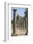 Palaistra, Ancient Greek ruins, Olympia, Greece-Lisa S. Engelbrecht-Framed Photographic Print