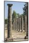 Palaistra, Ancient Greek ruins, Olympia, Greece-Lisa S. Engelbrecht-Mounted Photographic Print