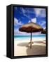 Palapa Umbrella on Cancun Beach, Mexico-George Oze-Framed Stretched Canvas