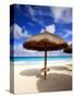 Palapa Umbrella on Cancun Beach, Mexico-George Oze-Stretched Canvas