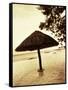 Palapa Umbrella on the Beach, Cancun, Mexico-Daniel J. Cox-Framed Stretched Canvas