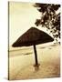 Palapa Umbrella on the Beach, Cancun, Mexico-Daniel J. Cox-Stretched Canvas