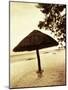 Palapa Umbrella on the Beach, Cancun, Mexico-Daniel J. Cox-Mounted Photographic Print