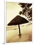 Palapa Umbrella on the Beach, Cancun, Mexico-Daniel J. Cox-Framed Photographic Print