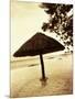 Palapa Umbrella on the Beach, Cancun, Mexico-Daniel J. Cox-Mounted Photographic Print