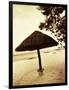 Palapa Umbrella on the Beach, Cancun, Mexico-Daniel J. Cox-Framed Photographic Print