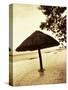 Palapa Umbrella on the Beach, Cancun, Mexico-Daniel J. Cox-Stretched Canvas