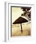 Palapa Umbrella on the Beach, Cancun, Mexico-Daniel J. Cox-Framed Photographic Print