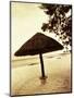 Palapa Umbrella on the Beach, Cancun, Mexico-Daniel J. Cox-Mounted Photographic Print