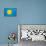 Palau Flag Design with Wood Patterning - Flags of the World Series-Philippe Hugonnard-Stretched Canvas displayed on a wall