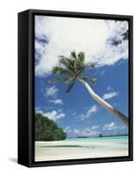 Palau, Palm Trees Along Tropical Beach-Stuart Westmorland-Framed Stretched Canvas