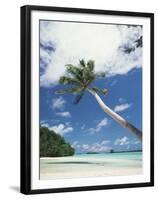 Palau, Palm Trees Along Tropical Beach-Stuart Westmorland-Framed Premium Photographic Print