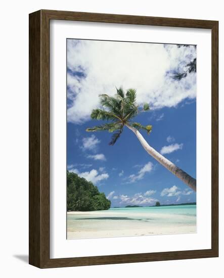 Palau, Palm Trees Along Tropical Beach-Stuart Westmorland-Framed Photographic Print