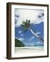 Palau, Palm Trees Along Tropical Beach-Stuart Westmorland-Framed Photographic Print