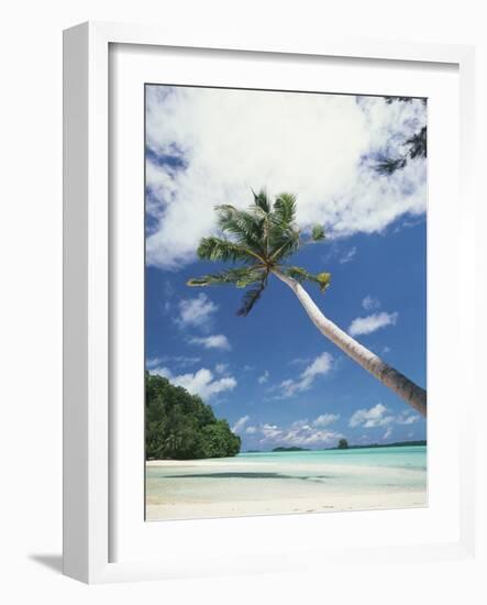 Palau, Palm Trees Along Tropical Beach-Stuart Westmorland-Framed Photographic Print