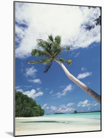Palau, Palm Trees Along Tropical Beach-Stuart Westmorland-Mounted Photographic Print