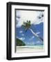 Palau, Palm Trees Along Tropical Beach-Stuart Westmorland-Framed Photographic Print