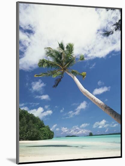 Palau, Palm Trees Along Tropical Beach-Stuart Westmorland-Mounted Photographic Print