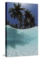 Palau, View of Islands Tree, World Heritage Site-Stuart Westmorland-Stretched Canvas