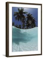 Palau, View of Islands Tree, World Heritage Site-Stuart Westmorland-Framed Photographic Print