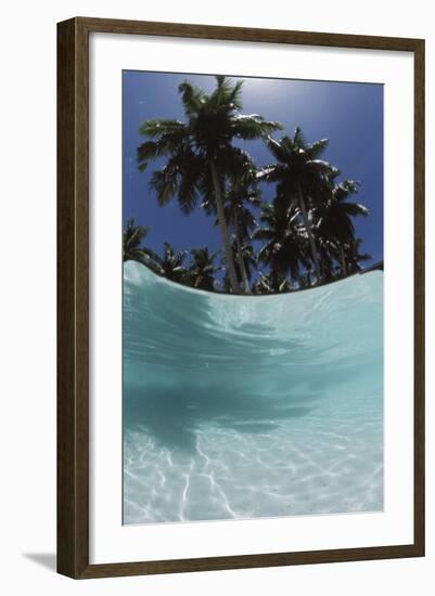 Palau, View of Islands Tree, World Heritage Site-Stuart Westmorland-Framed Photographic Print