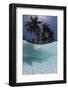 Palau, View of Islands Tree, World Heritage Site-Stuart Westmorland-Framed Photographic Print