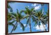 Palawan Palm Trees I-Richard Silver-Framed Photographic Print