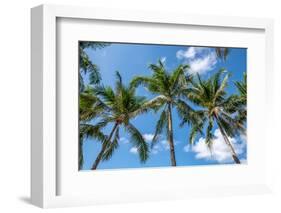 Palawan Palm Trees I-Richard Silver-Framed Photographic Print