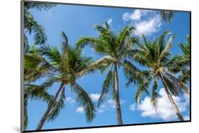 Palawan Palm Trees I-Richard Silver-Mounted Photographic Print