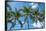 Palawan Palm Trees I-Richard Silver-Framed Stretched Canvas