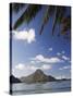 Palawan Province, El Nido, Bacuit Bay, Cadlao Island and Palm Trees, Philippines-Christian Kober-Stretched Canvas