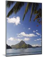 Palawan Province, El Nido, Bacuit Bay, Cadlao Island and Palm Trees, Philippines-Christian Kober-Mounted Photographic Print