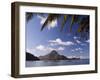 Palawan Province, El Nido, Bacuit Bay, Cadlao Island and Palm Trees, Philippines-Christian Kober-Framed Photographic Print