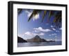 Palawan Province, El Nido, Bacuit Bay, Cadlao Island and Palm Trees, Philippines-Christian Kober-Framed Photographic Print