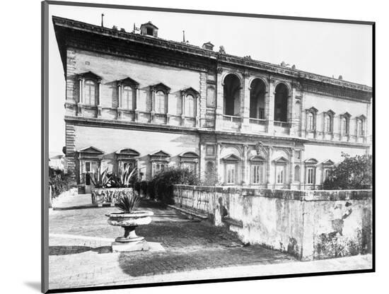 Photographic Print, , large