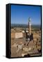 Palazzo Pubblico, Siena, UNESCO World Heritage Site, Tuscany, Italy, Europe-Charles Bowman-Framed Stretched Canvas