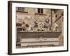 Palazzo Tarugi, Piazza Grande, Montepulciano, Val D'Orcia, Siena Province, Tuscany, Italy, Europe-Pitamitz Sergio-Framed Photographic Print