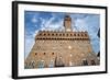 Palazzo Vecchio, Florence, Italy-ilfede-Framed Photographic Print