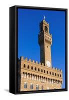 Palazzo Vecchio, Piazza Della Signoria, Florence (Firenze), Tuscany, Italy, Europe-Nico Tondini-Framed Stretched Canvas